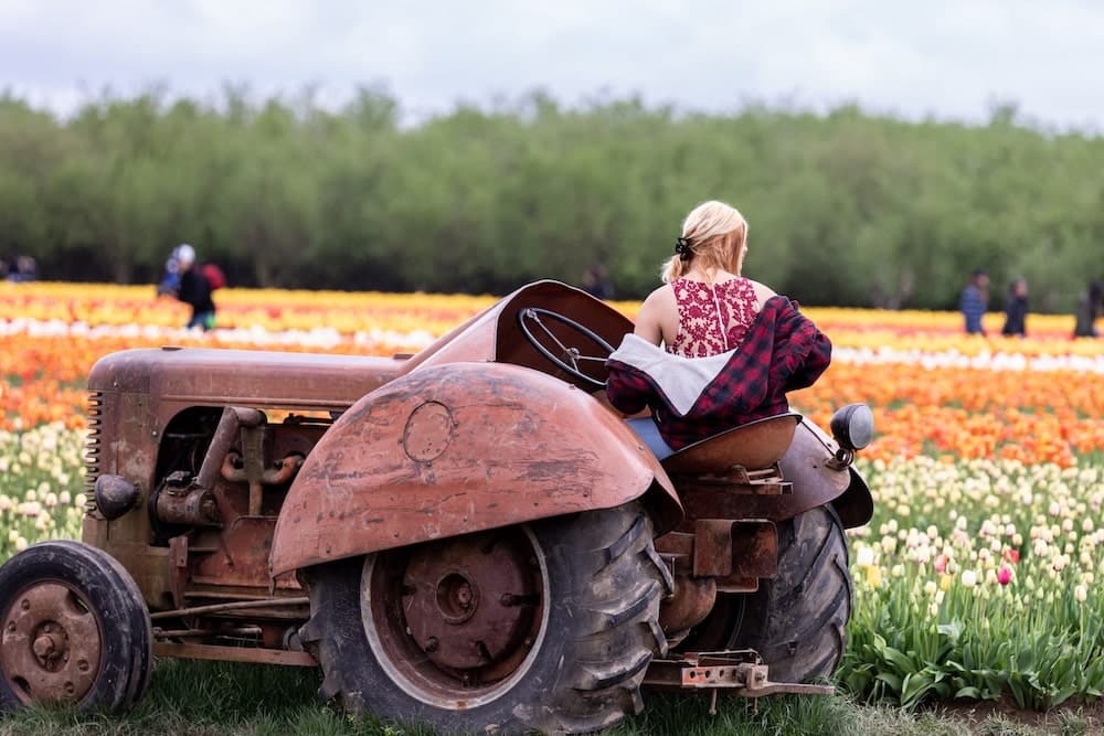 Harvest of Harassment The Untold Plight of Women in Agriculture